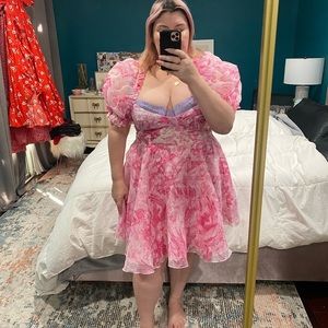 🎀💗 BNWT Selkie Pink The Babydoll Toile Parliament Dress in 1x 🎀💗